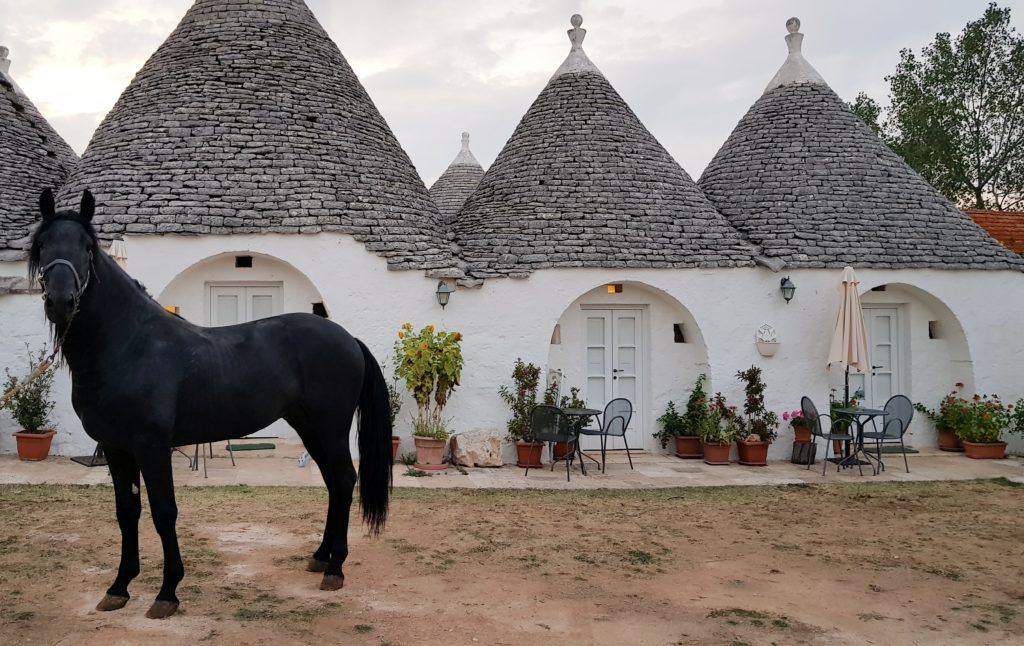 Novità – Masseria Pozzo Tre Pile on “NEW YORK TIMES”!