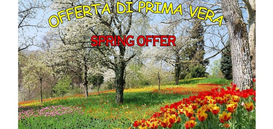 offerta primavera B&B Puglia